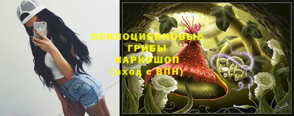 a pvp Алексин