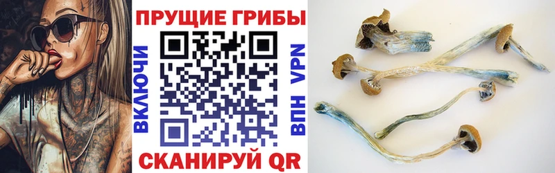 hydra зеркало  Орлов  Галлюциногенные грибы Psilocybine cubensis  где найти наркотики 